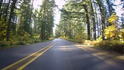 Driving Down Empty Road, During Autumn In Oregon, USA Stock Footage