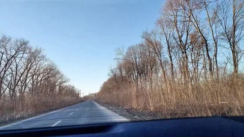 Driving Down Empty Rural Road with Trees in Winter Season 動画素材 330846684