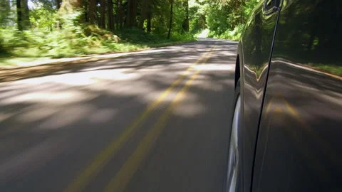 Driving Down Forest Road In Northern California (Wheel Angle) Stock-Footage 248474423