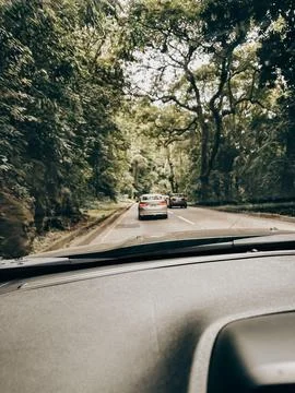 Driving down a forest road Stock Photos