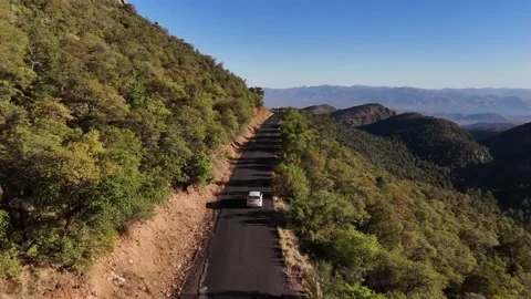 Driving Down Forest Road, Steep drop off, trees and bushes, Valley in Stock Footage 310733006