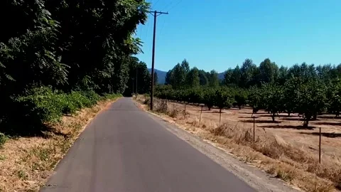 Driving down futher down Harvest Lane Stock Footage 143453573