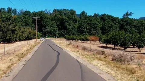 Driving down Harvest Lane Stock Footage 143453521