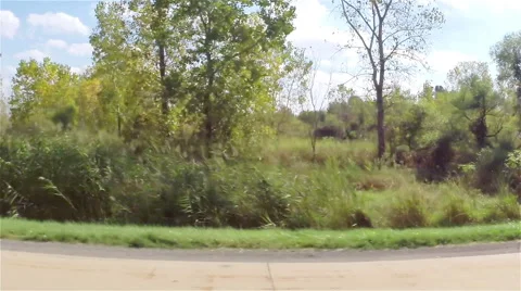 Driving down a highway among trees Stock-Footage 51739439