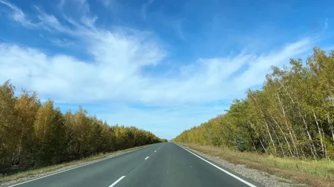 Driving down a highway lined with autumn trees. Stock Footage 287365312