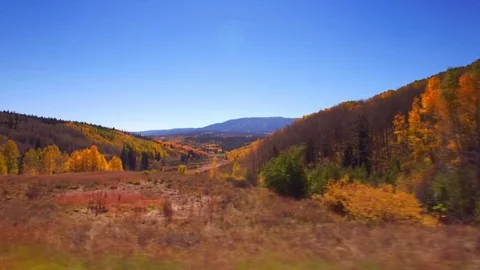 Driving down an old country road during autumn. Aspen trees are full of rich, vi Stock Footage 73140607