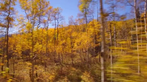 Driving down an old country road during autumn. Aspen trees are full of rich, vi Stockbeeldmateriaal 73140670