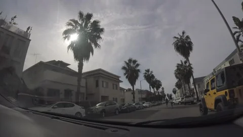 Driving Down Palm Tree Lined Street Towards Venice Beach 動画素材 344613095