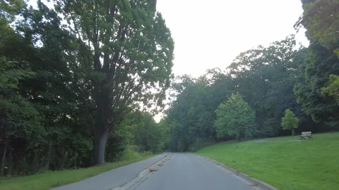 Driving Down Park Pathway On Bright Sunshine Morning Stock Footage 249771372