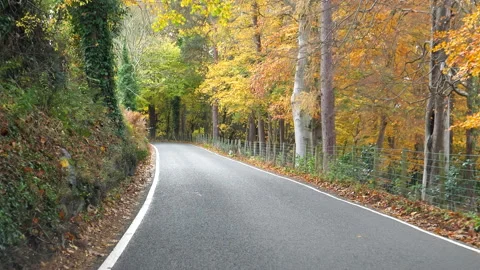 Driving down the road in autumn forest Vídeos de archivo 158660914