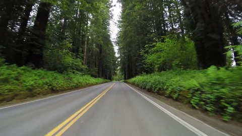 Driving Down Road In Coastal Range Of Oregon, USA Video stock 78121948