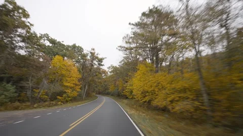 Driving Down A Road During Peak Fall Colors Stock Footage 258961639