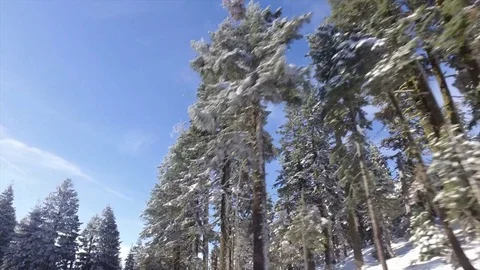 Driving Down A Road Lining By Snow Stock Footage 70284836