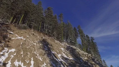 Driving Down A Road Lining By Snow Stock Footage 70287498