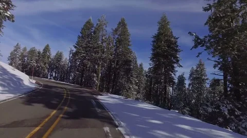 Driving Down A Road Lining By Snow Stock Footage 70287991