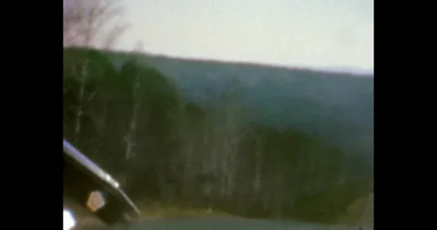 Driving down the road, pov, dense forest, sky. 動画素材 303059990