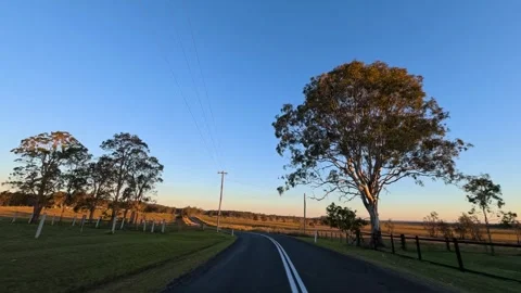 Driving Down a Rural Asphalt Road with Eucalyptus Trees at Sunset Stock Footage 340319572