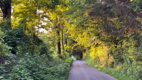 Driving down a rural road in central Kentucky on a summer evening Stock Footage 311933571