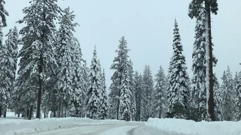 Driving down a snowy road in the USA Stock Footage