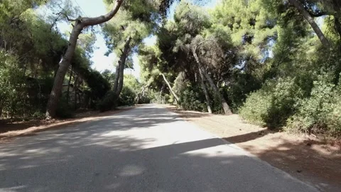 Driving down tree lined road with long shadows 스톡 동영상 145955705