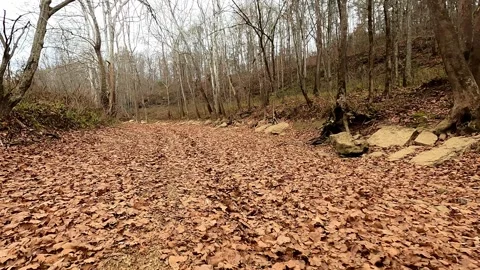 Driving Down a Western Kentucky Dry Creek Bed with 4x4 Off Road Vehicle Stock Footage 261040351