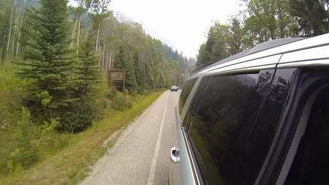 Driving down a winding forest road Stock Footage 111733633