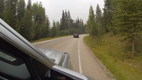 Driving down a  winding forest road Stock Footage 111733808