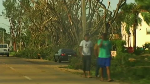 Driving by Downed Trees after Hurricane Wilma Stock Footage 291000383