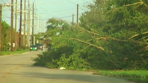 Driving by Downed Trees after Hurricane Wilma Stock Footage 291000435