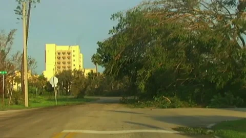 Driving by Downed Trees after Hurricane Wilma Stock Footage 291000451