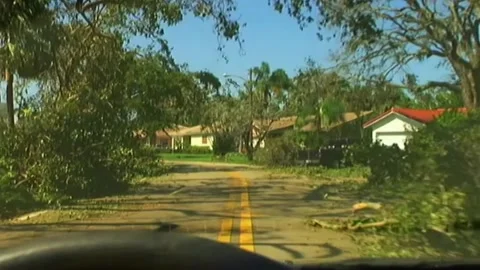 Driving by Downed Trees after Hurricane Wilma Stock Footage 291000499