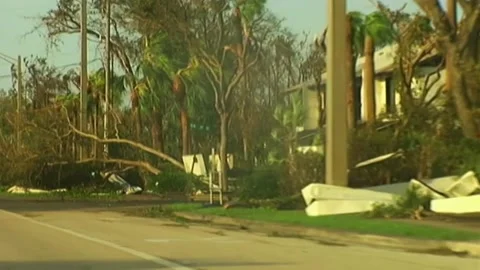 Driving by Downed Trees and Debris after Hurricane Wilma Stock Footage 291000391