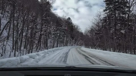 Driving Downhill Snowy Forest Corridor Road POV Light Snowfall 스톡 동영상 333369011