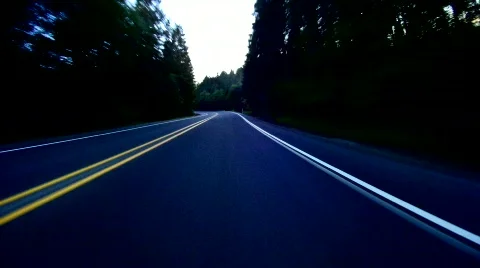 Driving at dusk through forest Video stock 503076