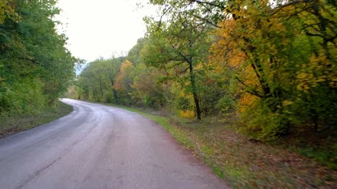 Driving on empty asphalt road passing through a mixed forest Stock Footage 142491778