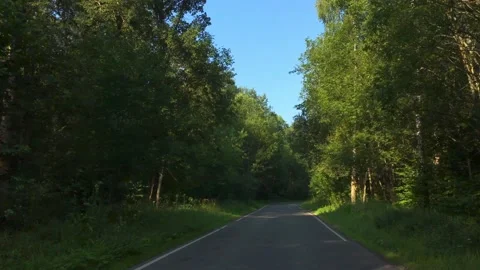 Driving on empty asphalt road through a mixed forest on a sunny summer morning Stock Footage 157359861