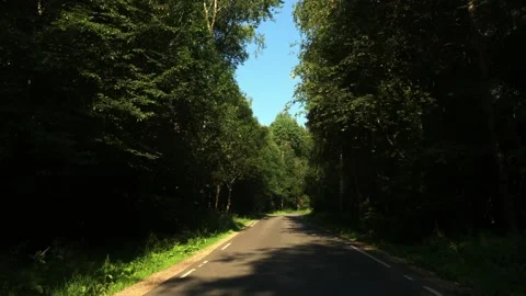 Driving on empty asphalt road through a forest on a sunny summer morning Stock Footage 157361768