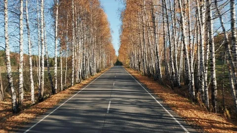 Driving on empty autumn road, going backward Stock Footage 117863705