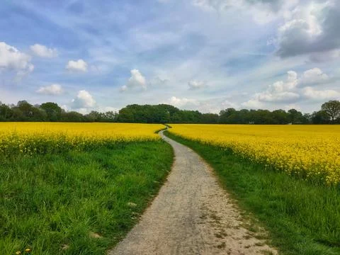 Driving on an empty dirt road through the cultivated fields towards the setting Stock Photos