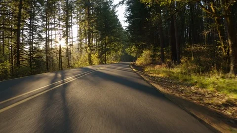 Driving On Empty Forest Road In Autumn, Beautiful Dappled Light, Oregon, USA Video stock 120717896