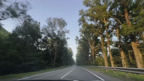 Driving on an empty paved road passing through a green forest in summer. Video stock 228667842