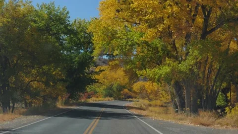 Driving On An Empty Road On Sunny Autumn Day With Bright Yellow Colors On Trees Stock Footage 133397774