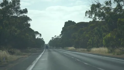 Driving on an empty rural highway lined with eucalyptus trees in Australia Stock Footage 344799497