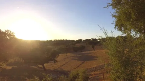 Driving empty rural road at sunset in Alentejo portugal road  steady shot 4K Stock-Footage 67954130