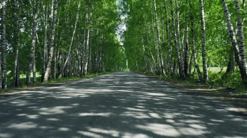 Driving on empty summer road, going forward Stock Footage 135394038