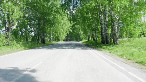 Driving on empty summer road, going forward Stock Footage 135394247