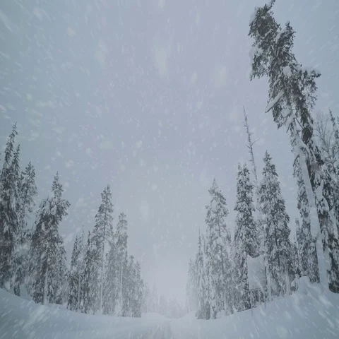 Driving on an Empty Winter Highway and Snowfall Stock Footage