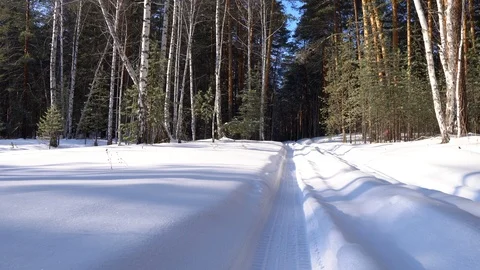 Driving on empty winter road, going backward Stock Footage 124212858
