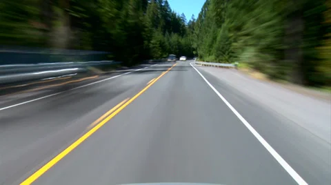 Driving Evergreen Forest Stock Footage 31983125