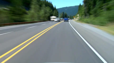 Driving Evergreen Forest Stock Footage 31983144